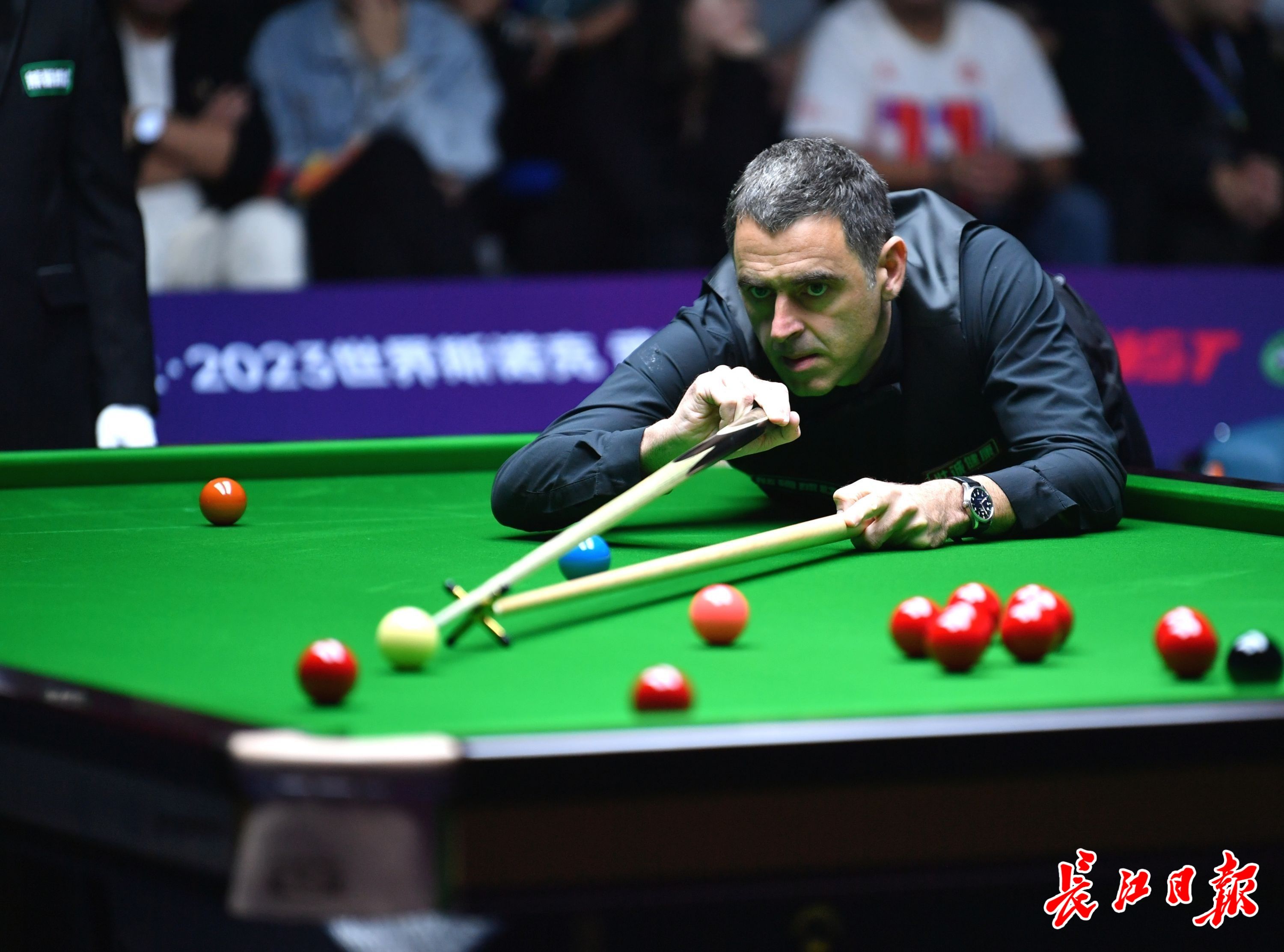 是王楚钦孙 是王楚钦孙