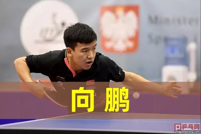 本身的发挥 本身的发挥